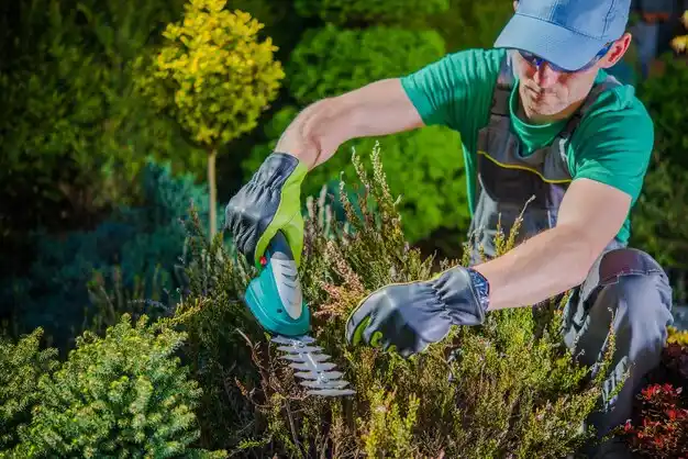 landscaping services Port Jefferson Station
